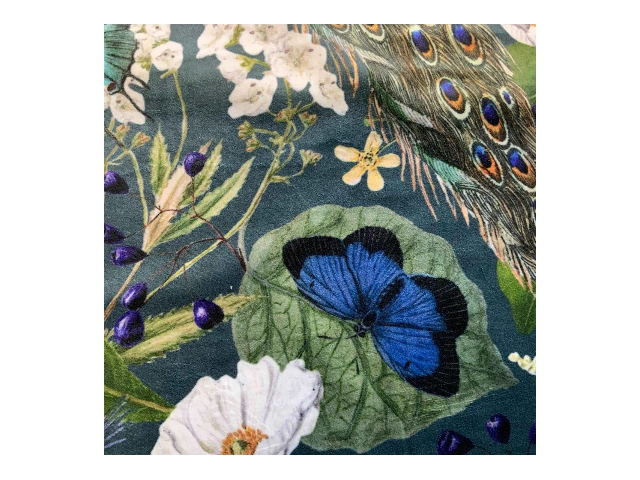 PEACOCKS Pattered Upholstery / Furnishing velvet - 140  cms - 330 gsm peacock fabric